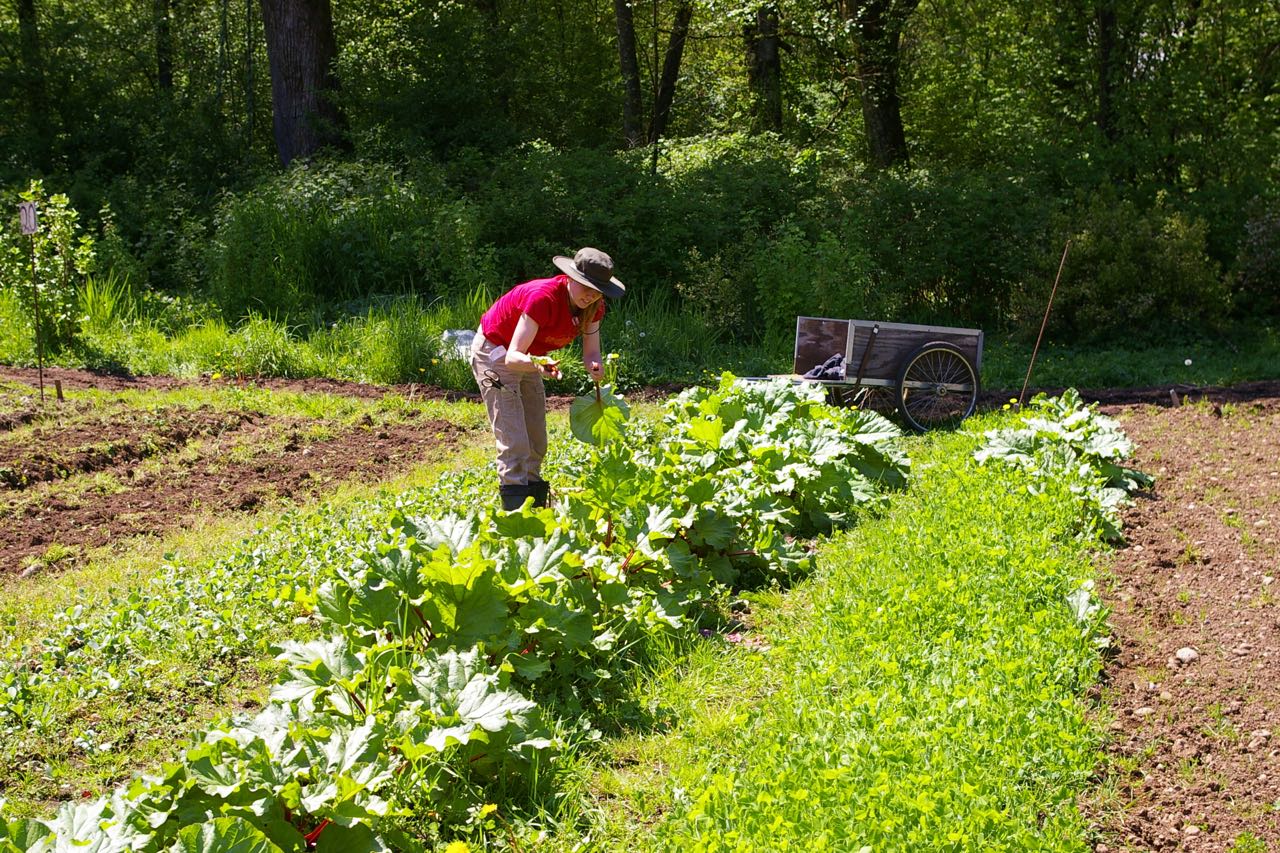 Preamble – Fraser Common Farm Cooperative